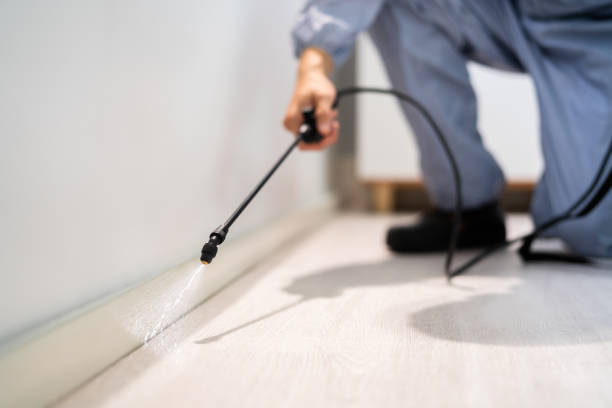 Licensed Termite Control service in Mountain View, CA - Nex Pest Control