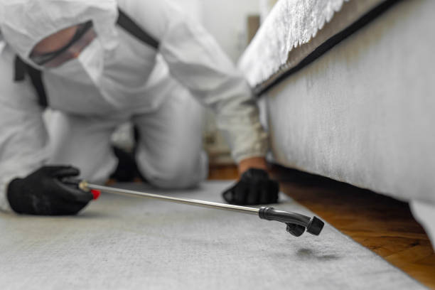 Professional Termite Control technician working in Mountain View, CA