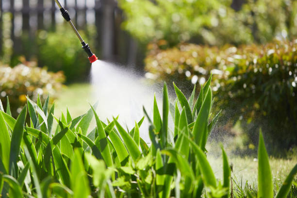 24/7 Emergency Termite Control experts in Mountain View, CA