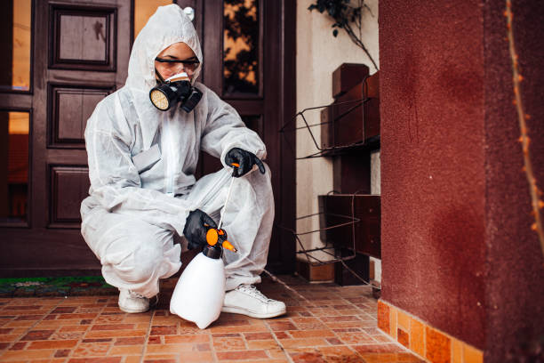 Reliable Termite Control contractor in Mountain View, CA by Nex Pest Control